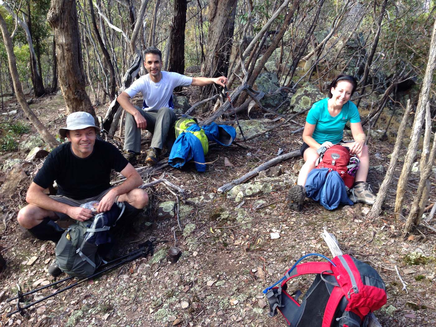 The scenic rim river & link 2 (6)