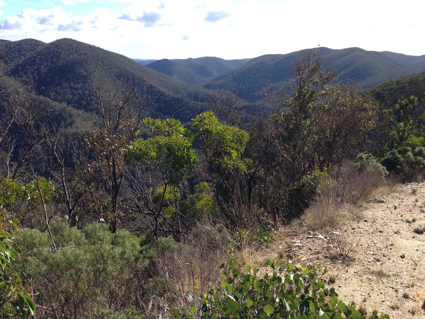 The scenic rim river & link 2 (7)