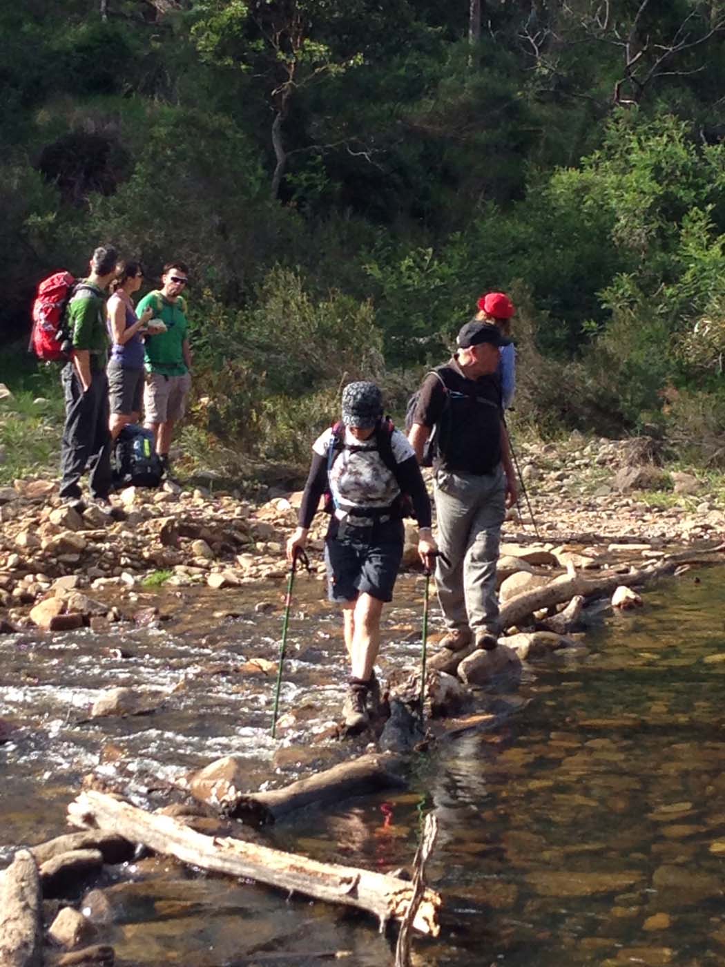 The scenic rim river & spur track (1)