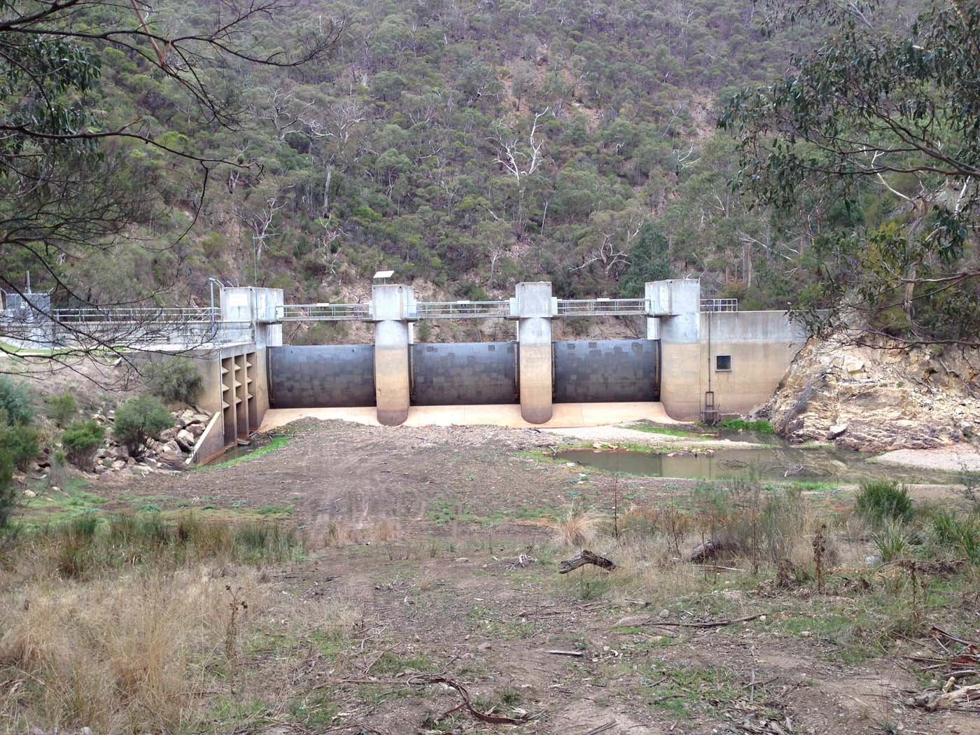 The scenic rim river & spur track (18)