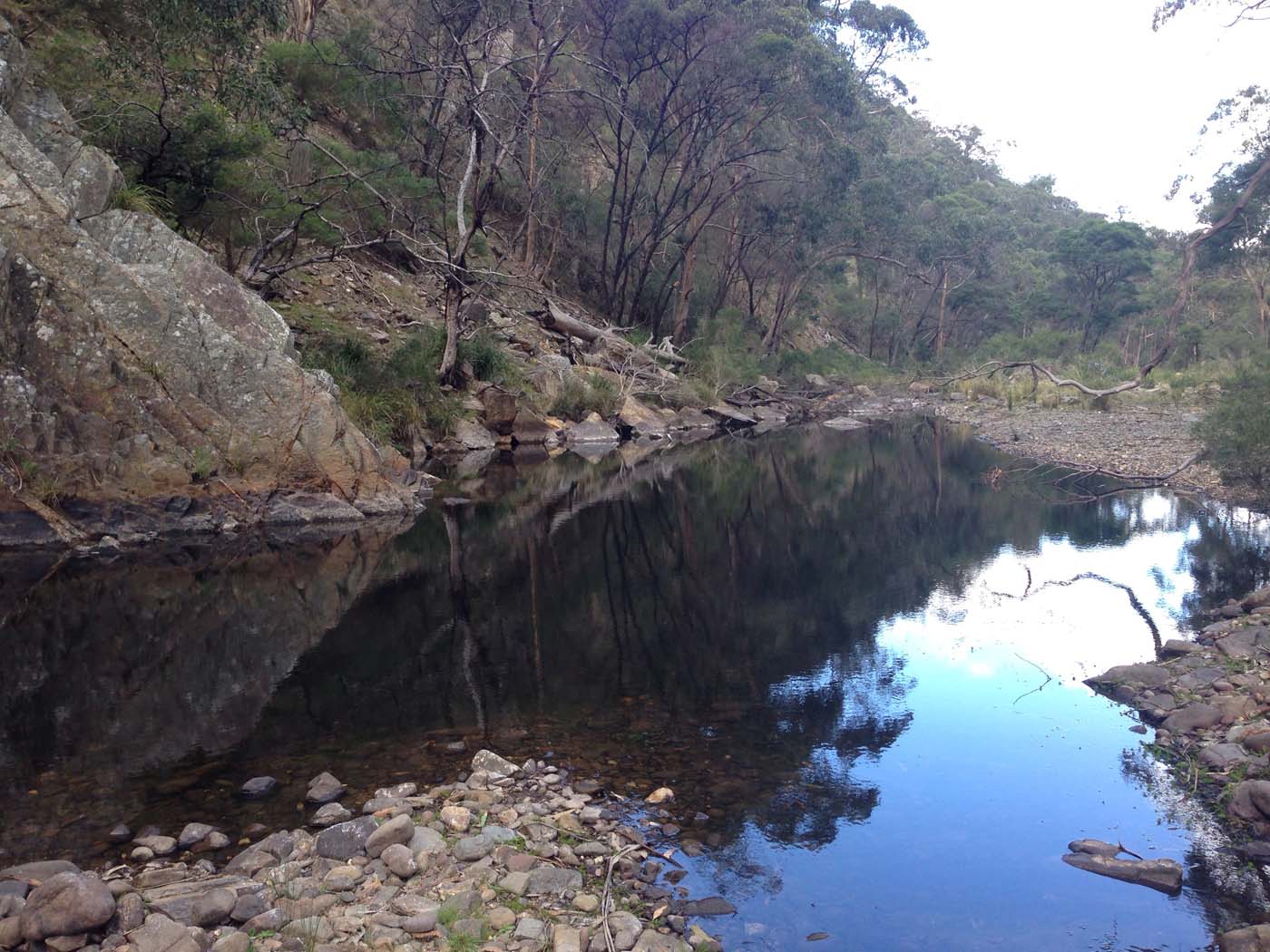 The scenic rim river & spur track (9)