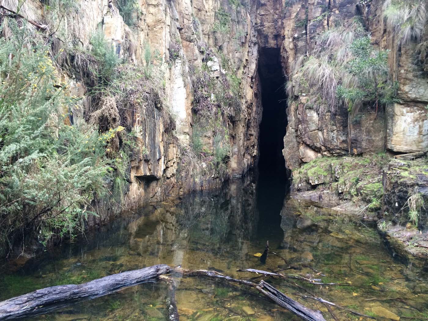The tunnel & sardine creek hike (1)