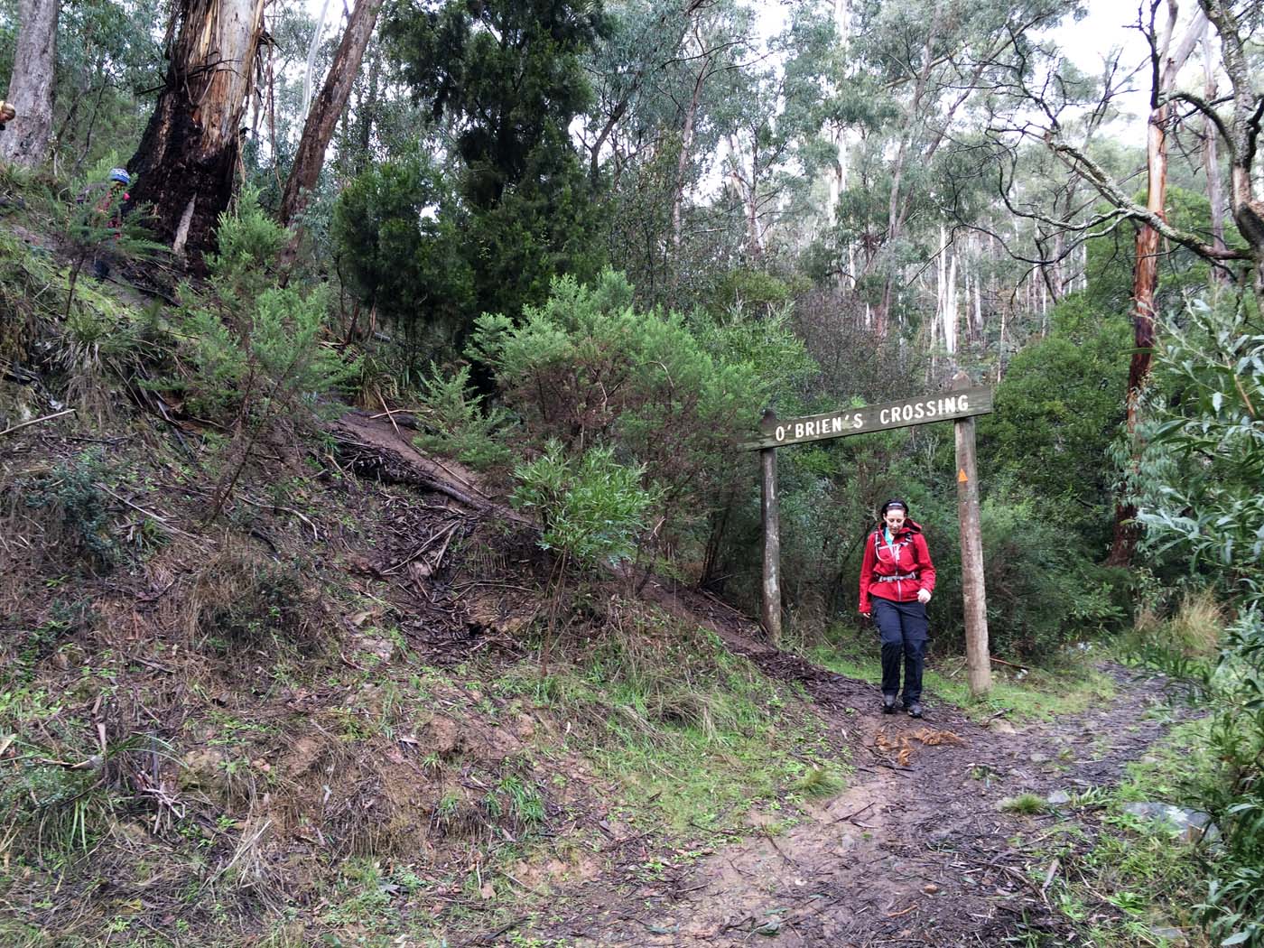The tunnel & sardine creek hike (13)