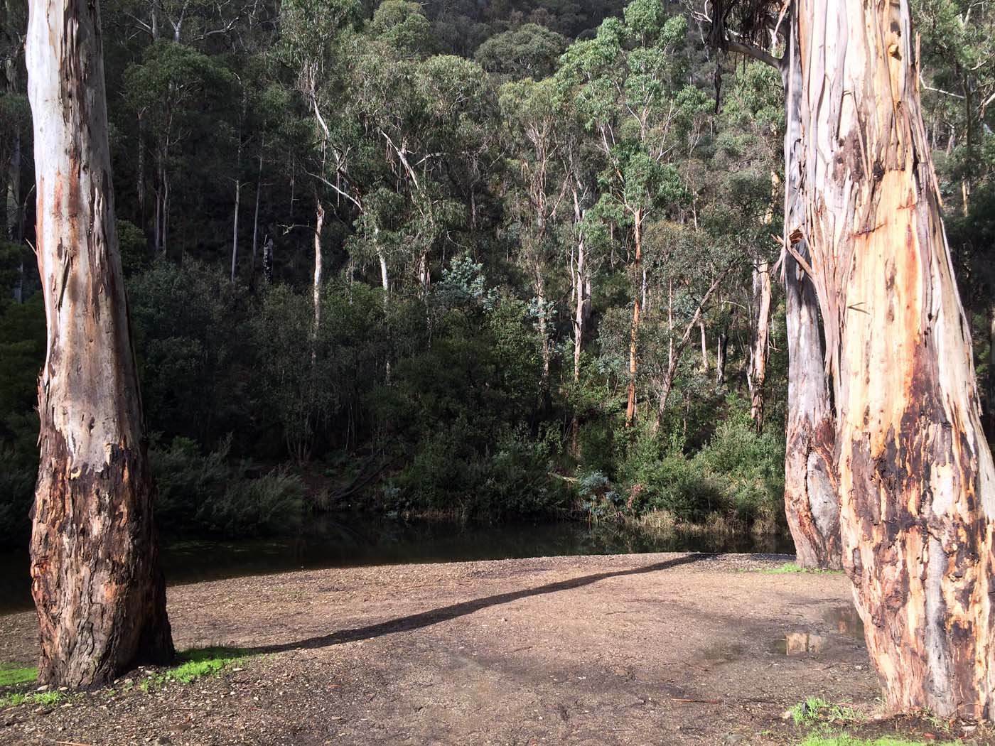 The tunnel & sardine creek hike (14)