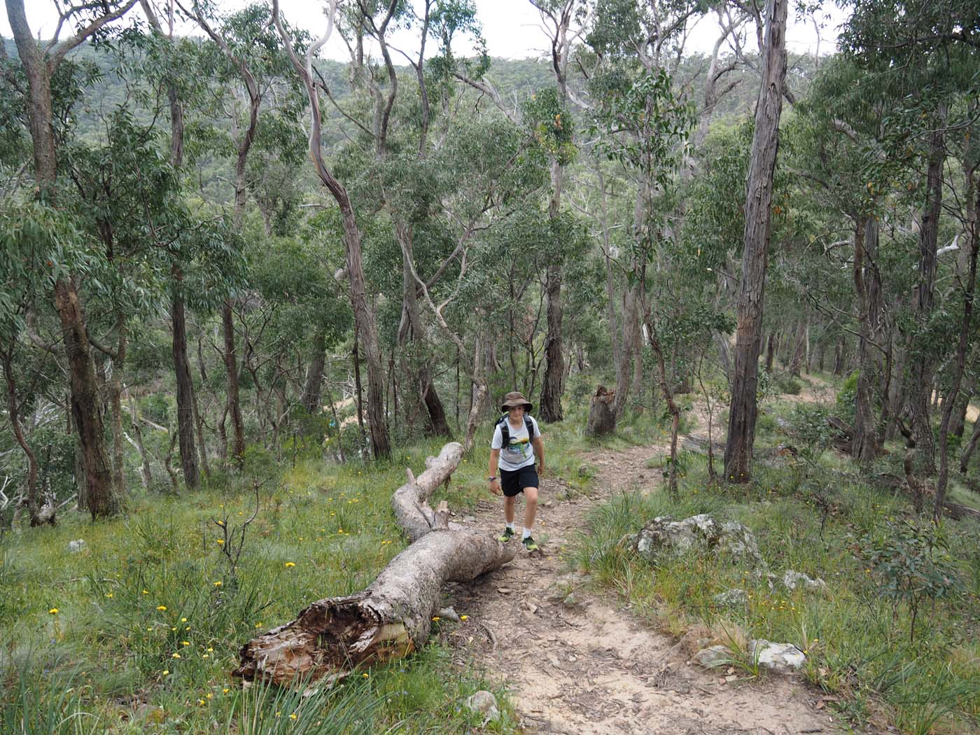 The tunnel & sardine creek hike (17)
