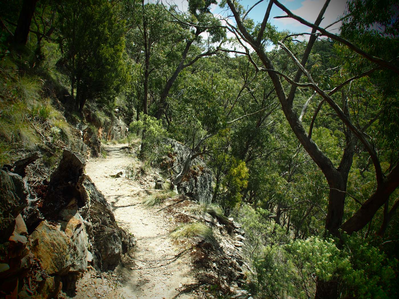 The tunnel & sardine creek hike (20)