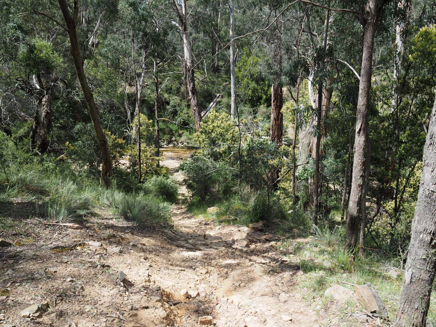 The tunnel & sardine creek hike (22)