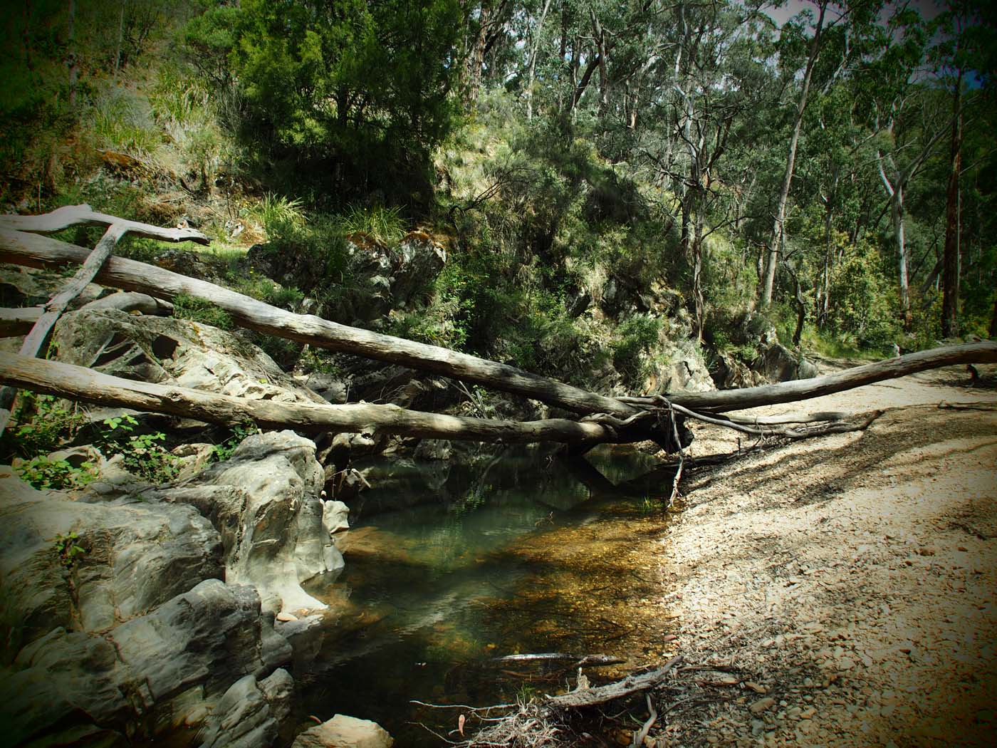 The tunnel & sardine creek hike (23)