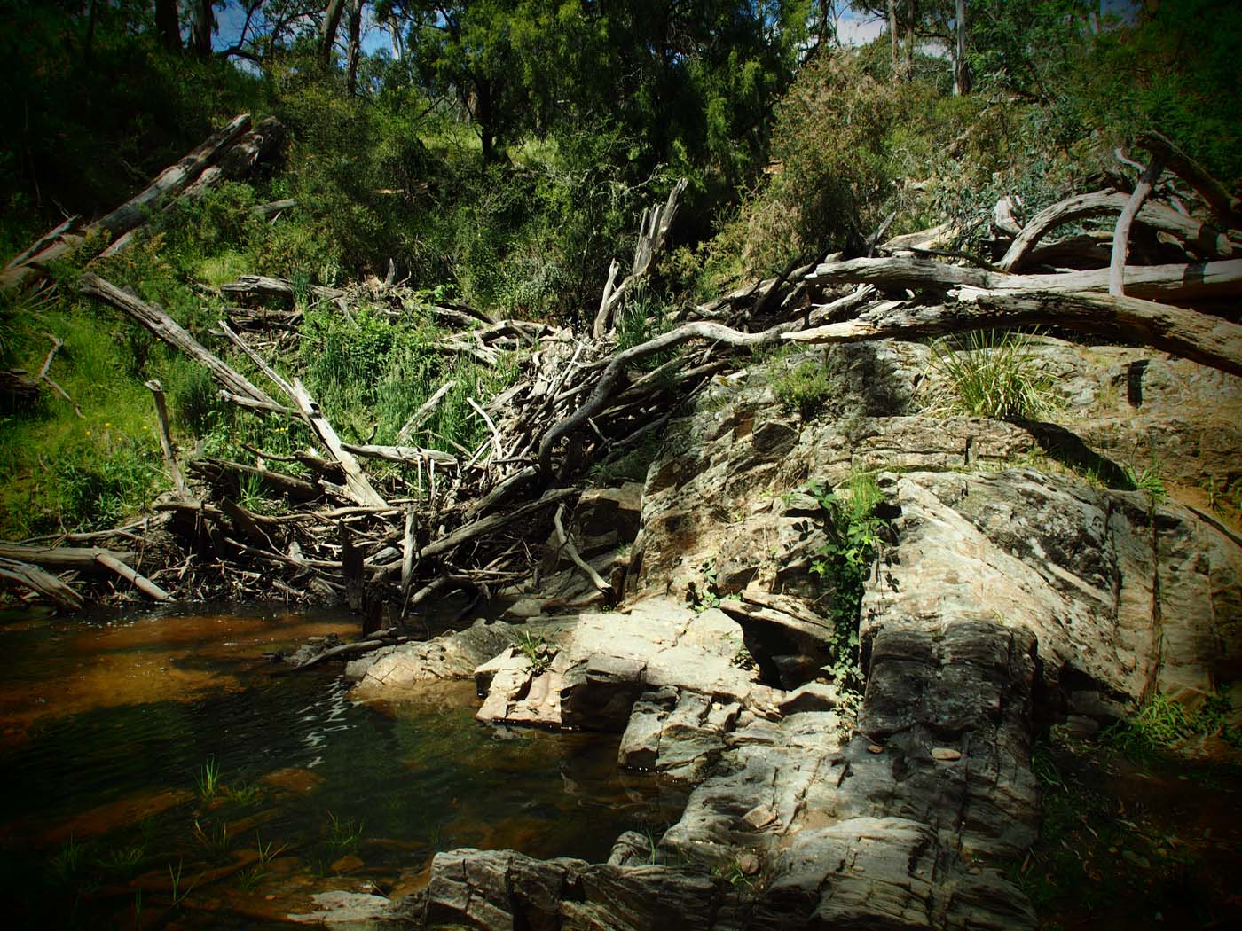 The tunnel & sardine creek hike (24)
