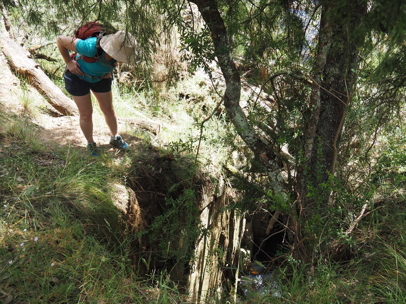 The tunnel & sardine creek hike (25)