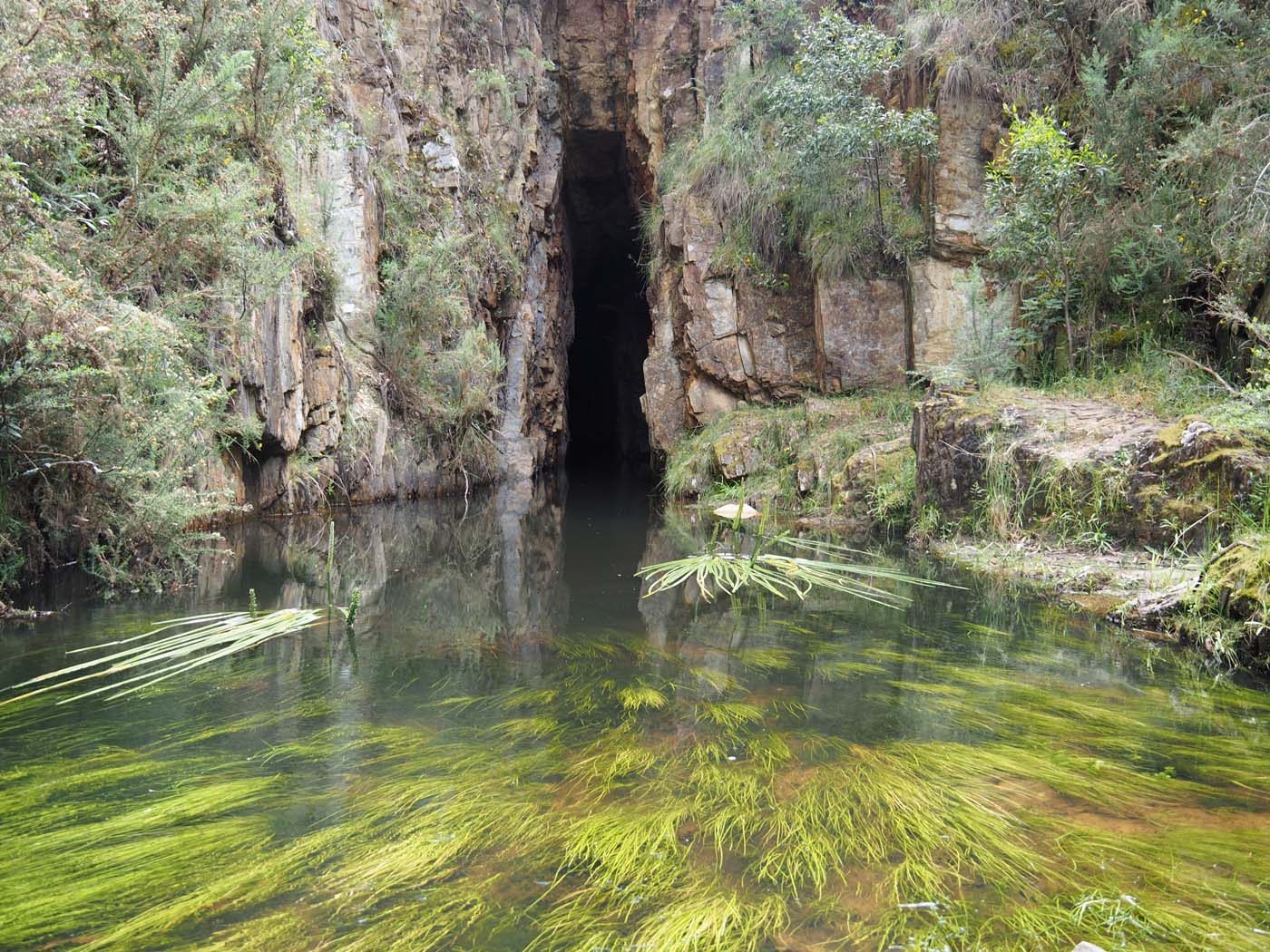 The tunnel & sardine creek hike (26)