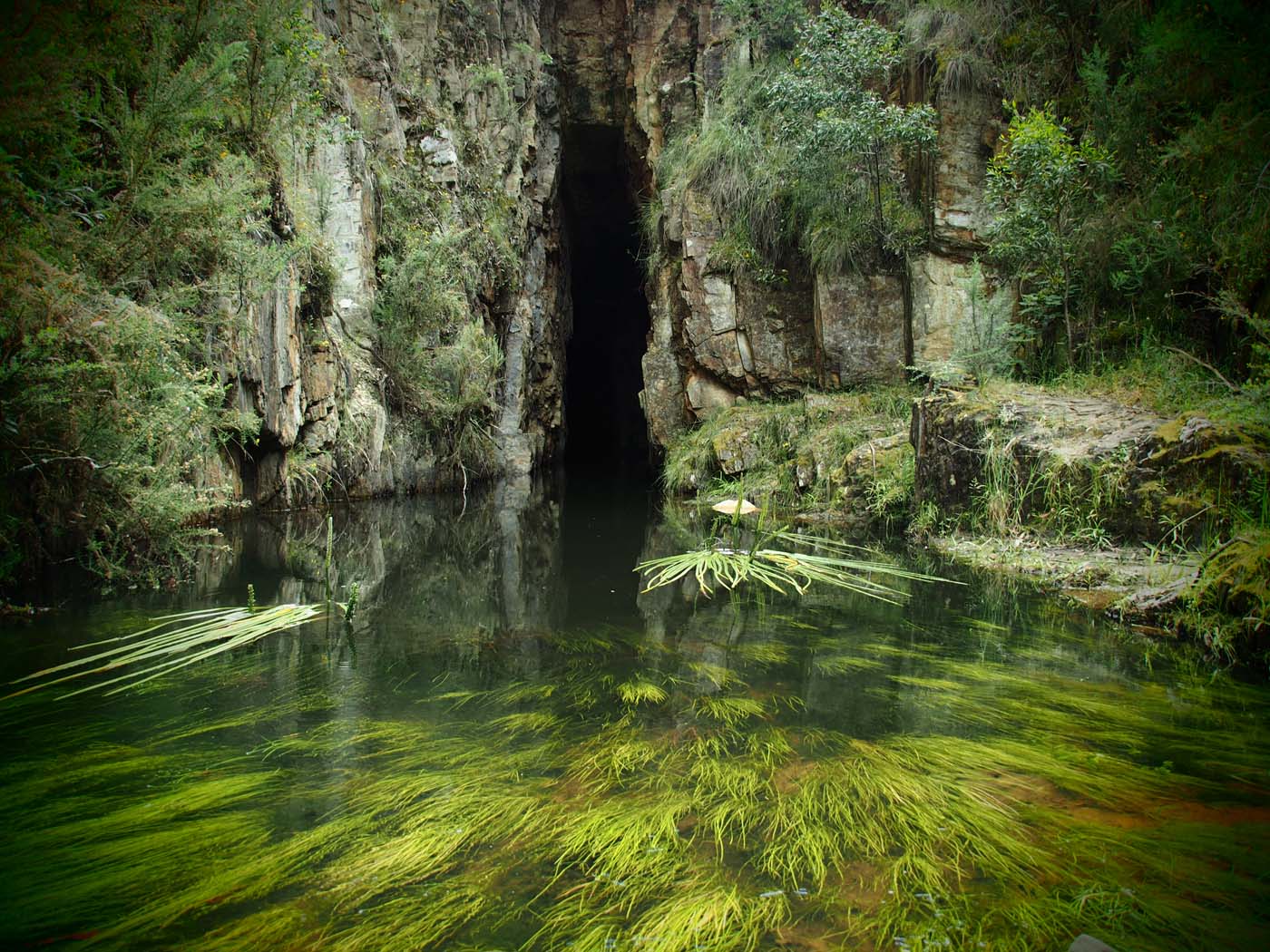The tunnel & sardine creek hike (27)