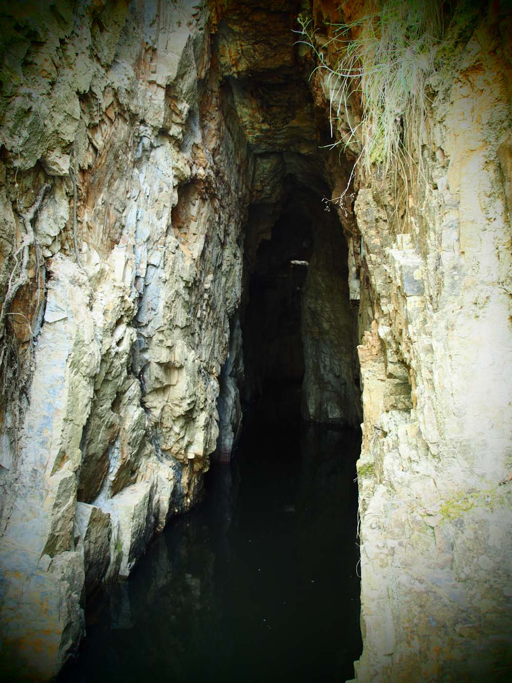 The tunnel & sardine creek hike (28)