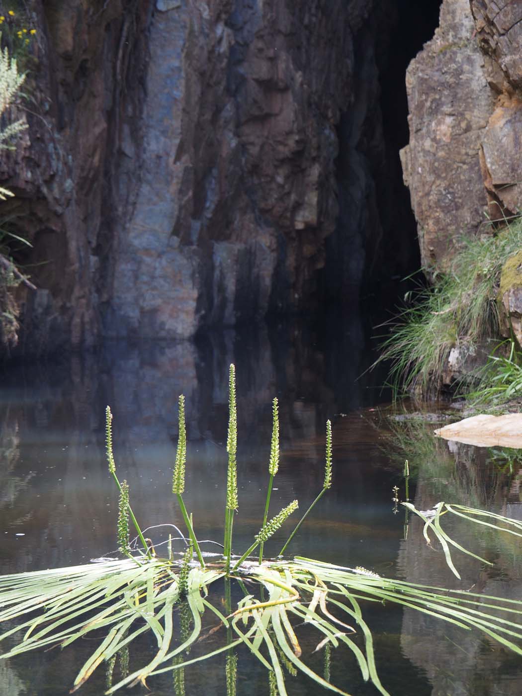 The tunnel & sardine creek hike (29)