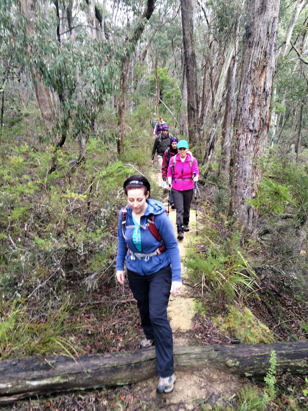 The tunnel & sardine creek hike (3)
