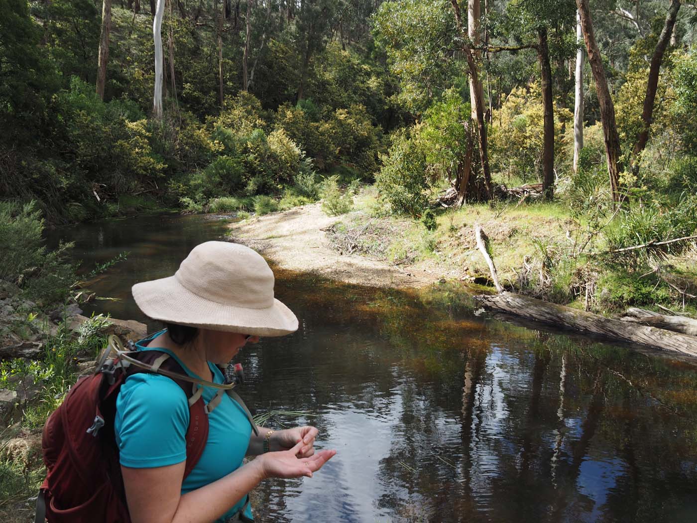 The tunnel & sardine creek hike (32)