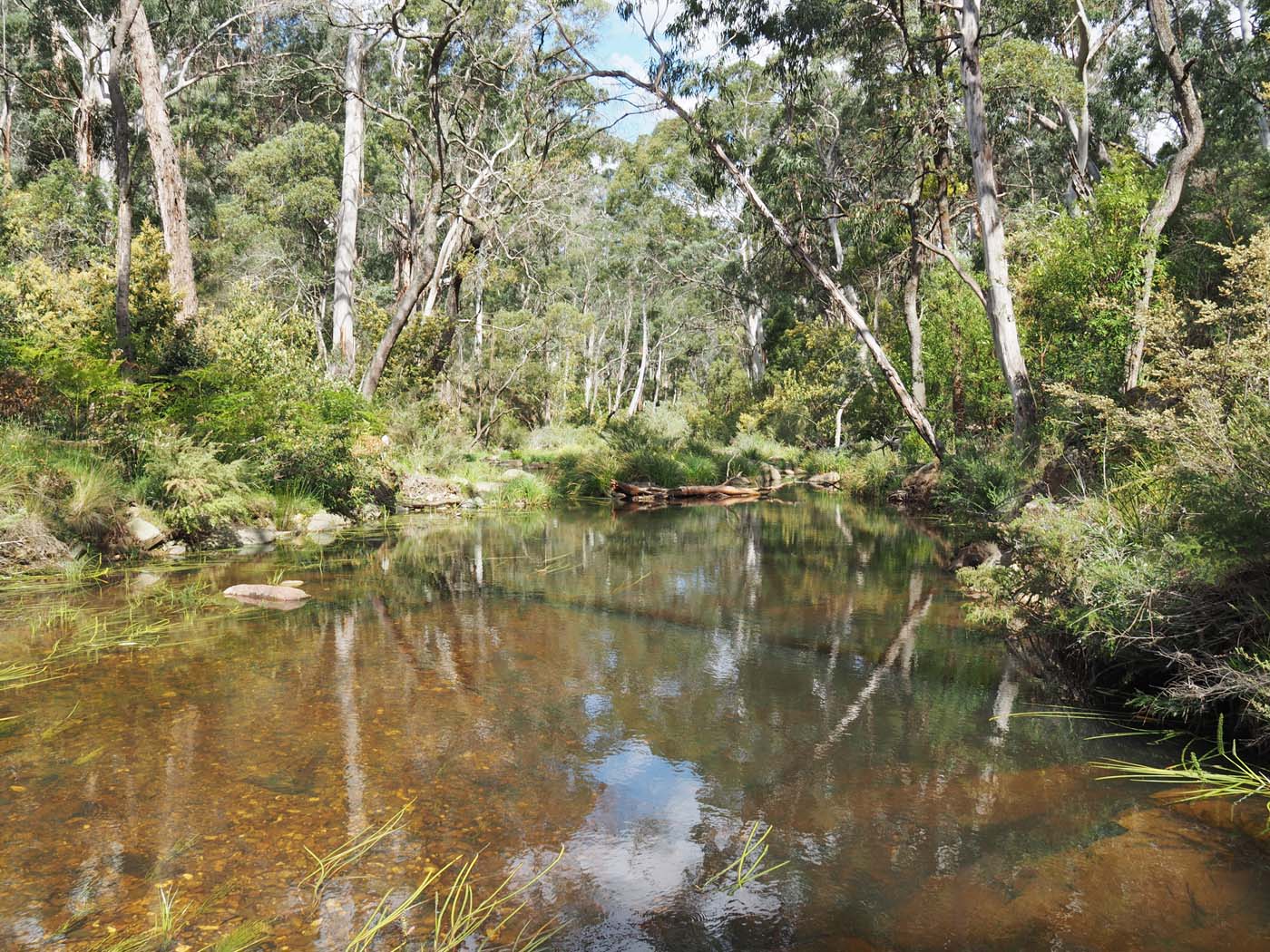The tunnel & sardine creek hike (33)