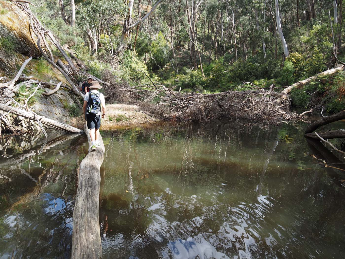 The tunnel & sardine creek hike (35)