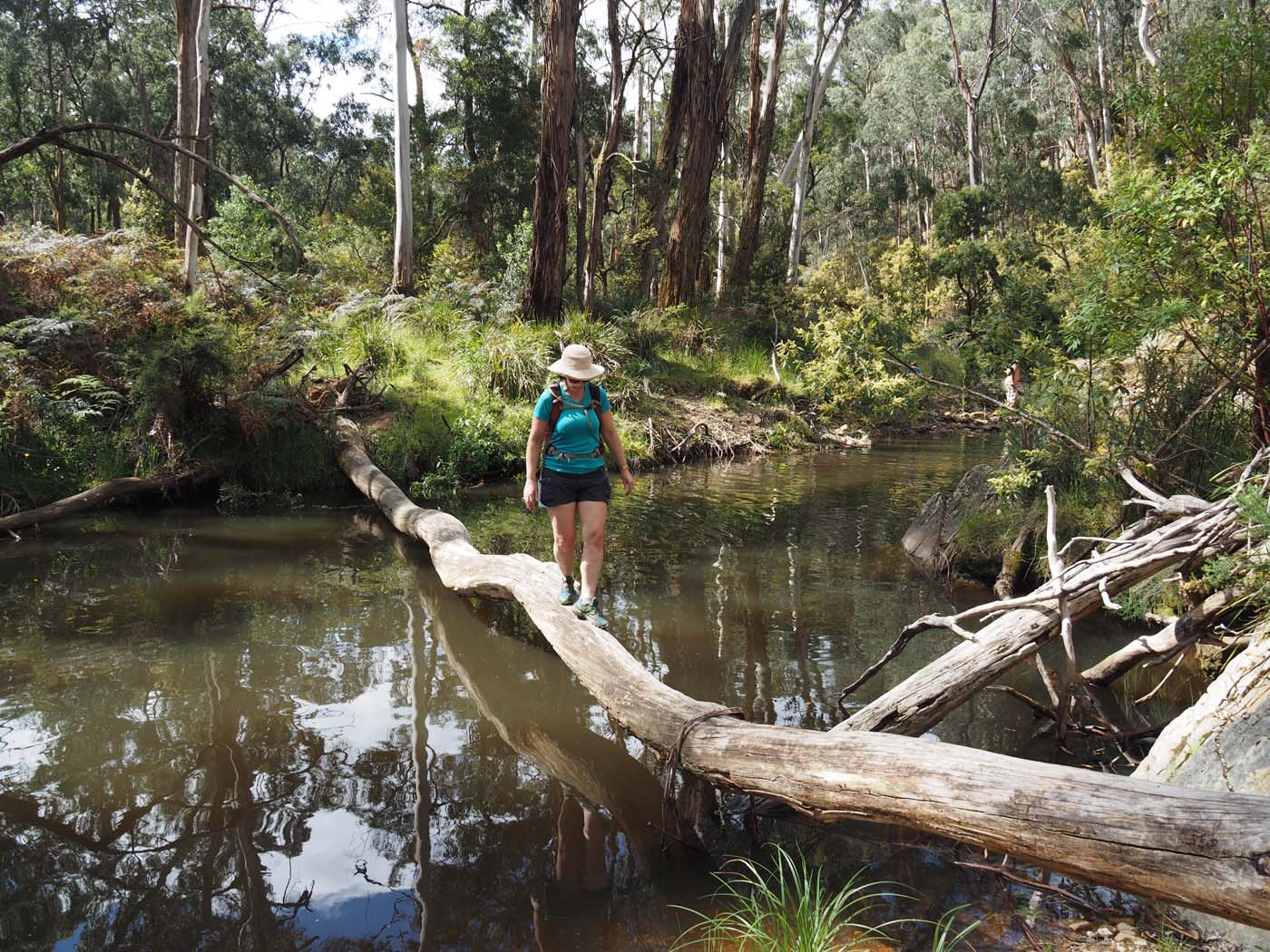 The tunnel & sardine creek hike (36)