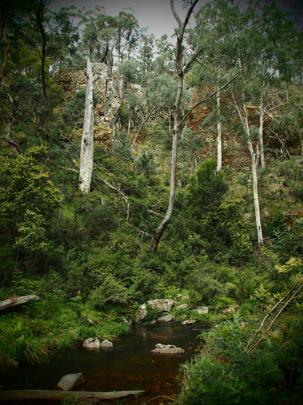 The tunnel & sardine creek hike (38)