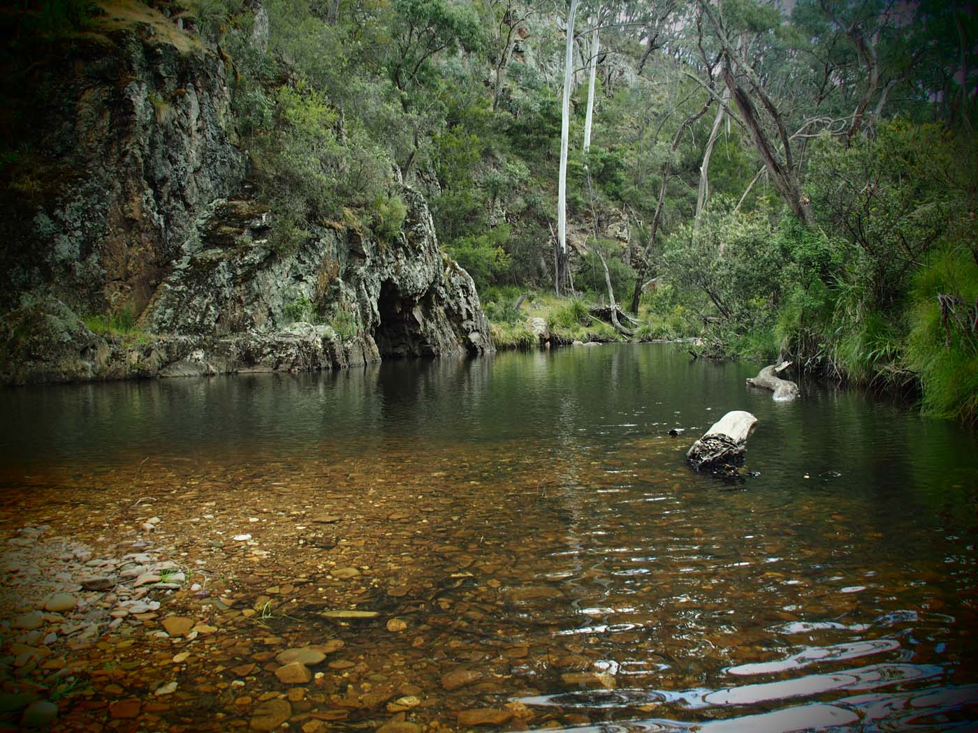The tunnel & sardine creek hike (39)