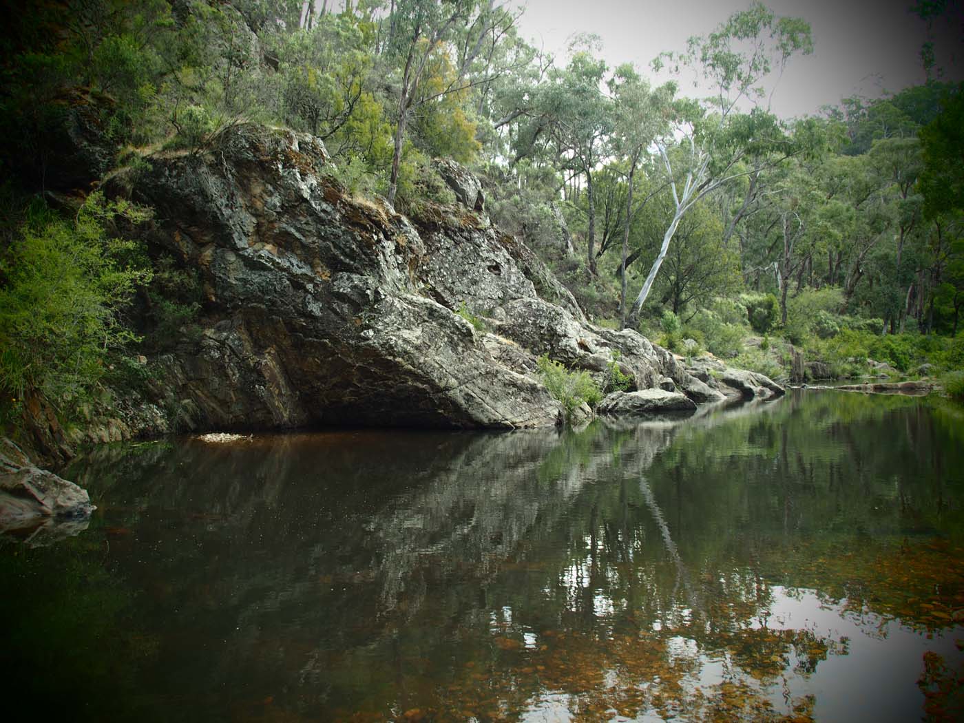 The tunnel & sardine creek hike (41)
