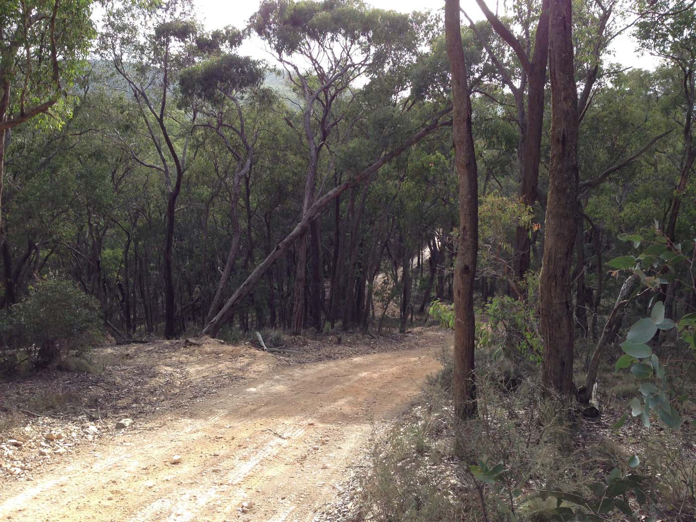 The tunnel & sardine creek hike (43)