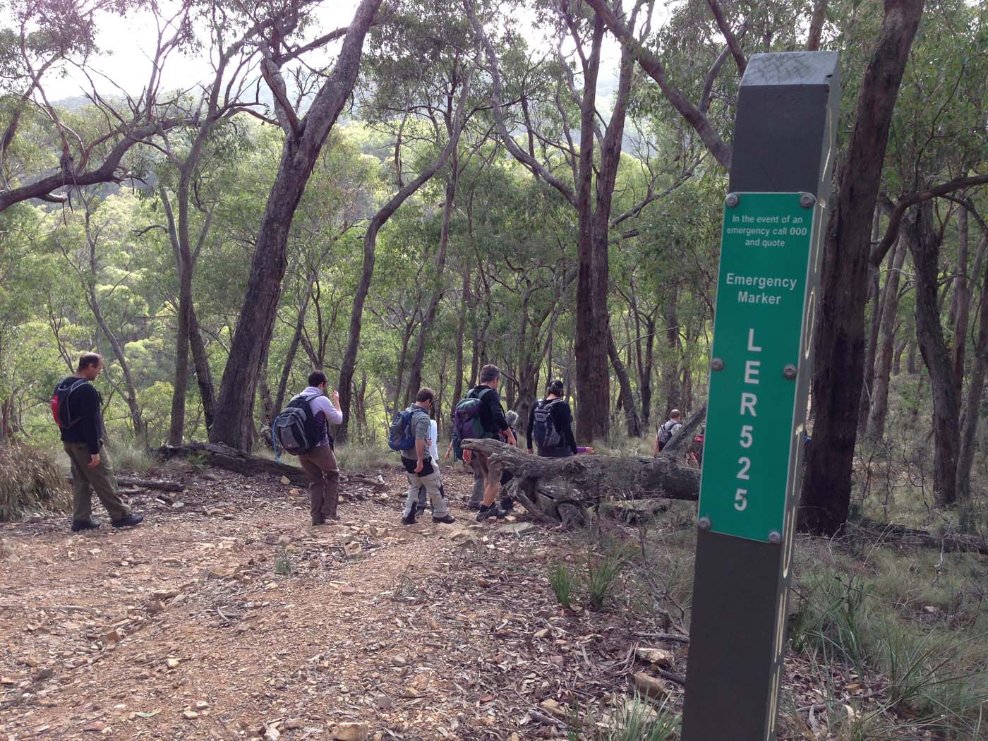 The tunnel & sardine creek hike (45)