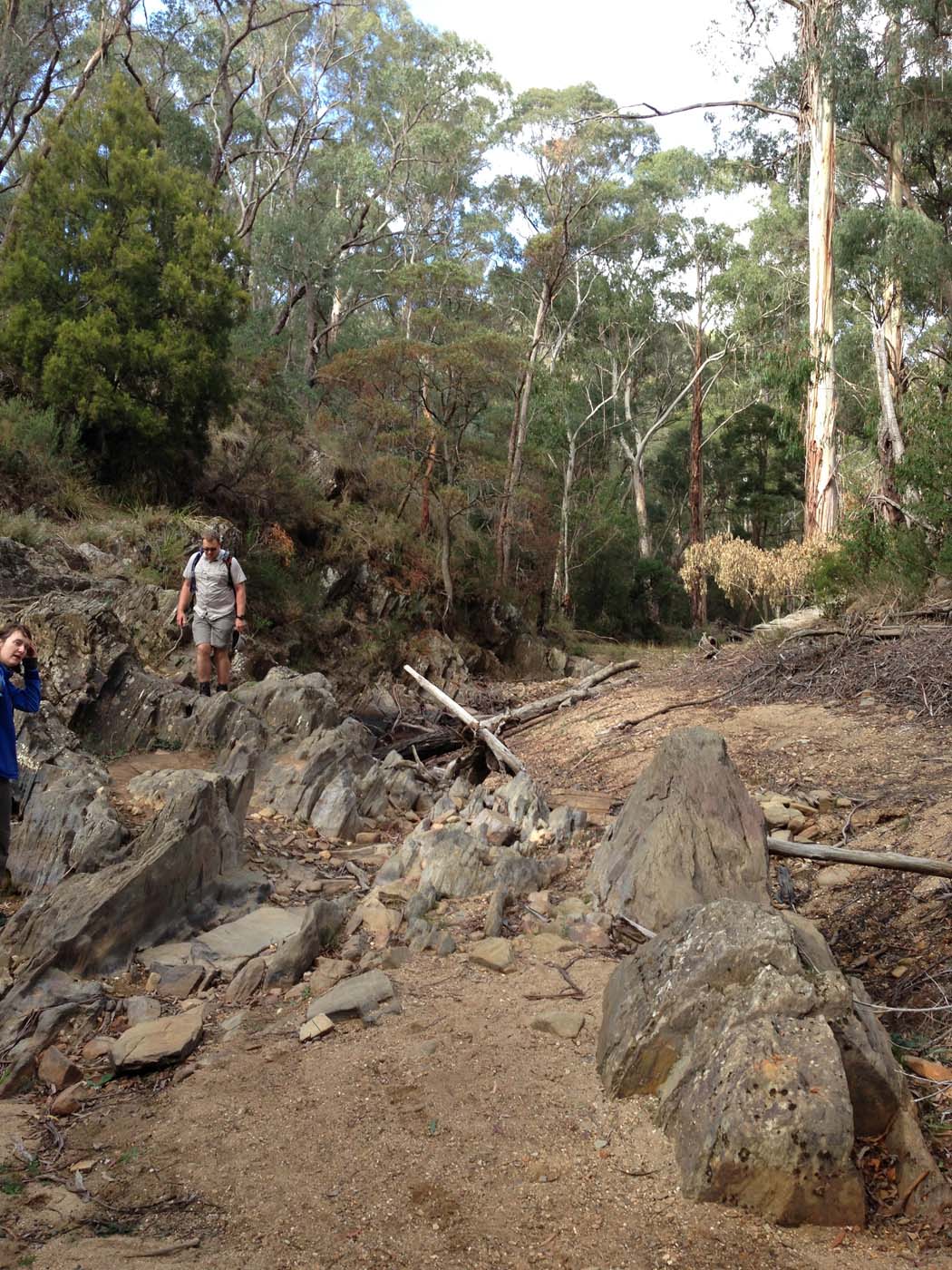 The tunnel & sardine creek hike (46)