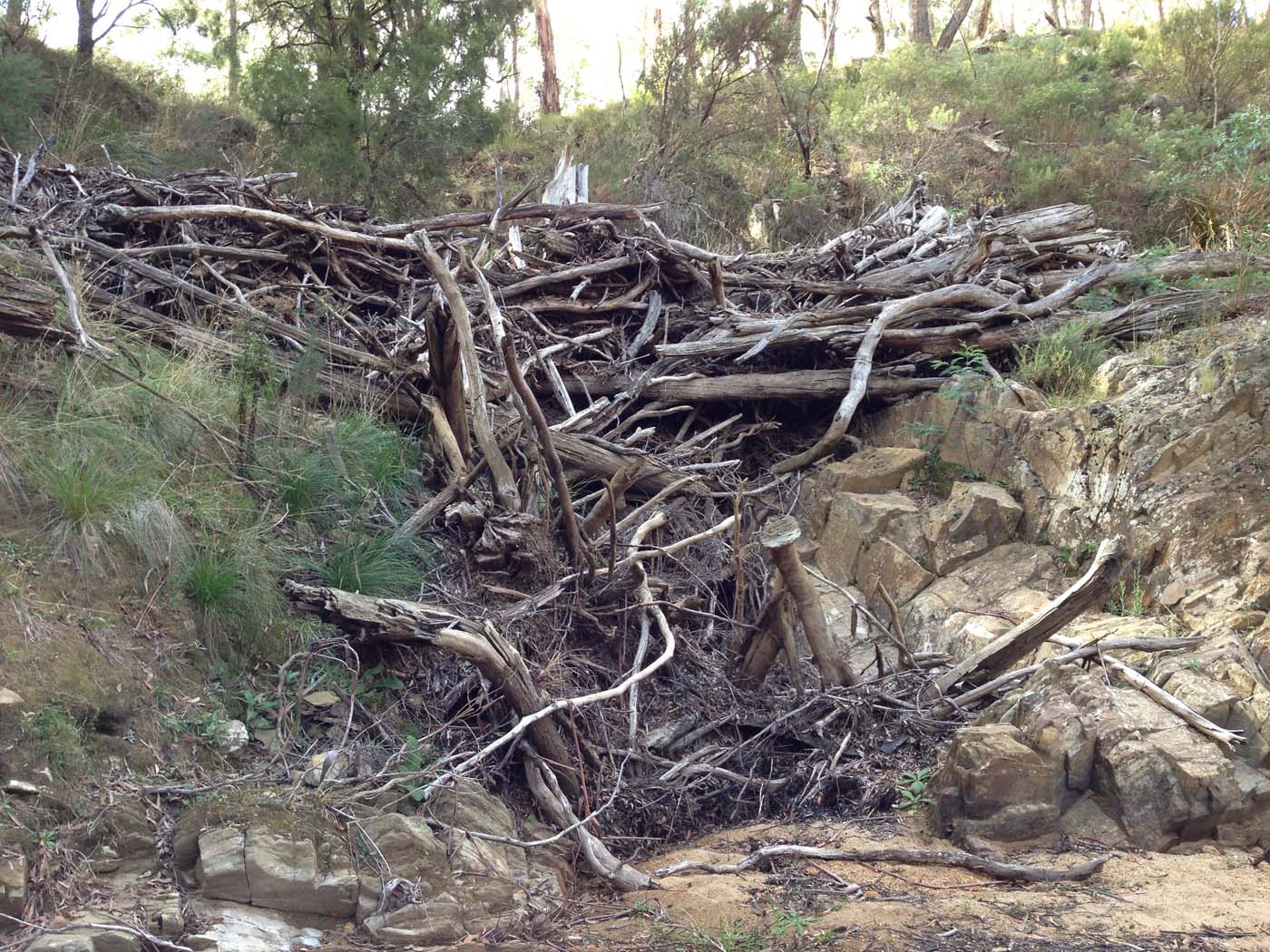 The tunnel & sardine creek hike (47)