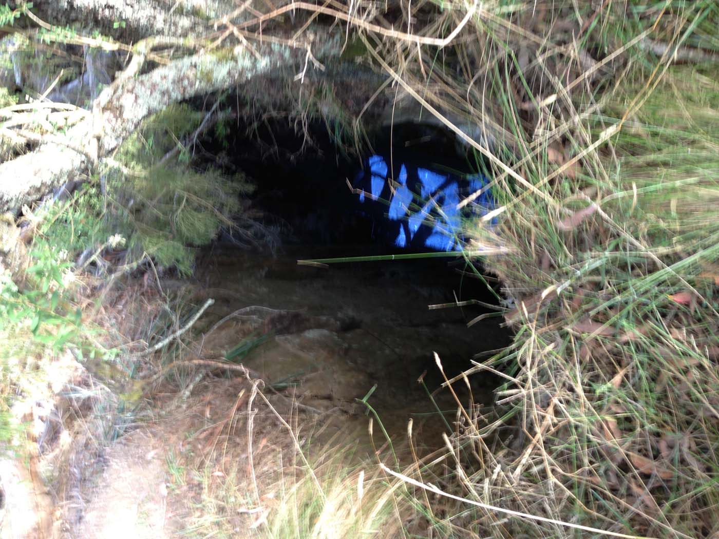 The tunnel & sardine creek hike (48)