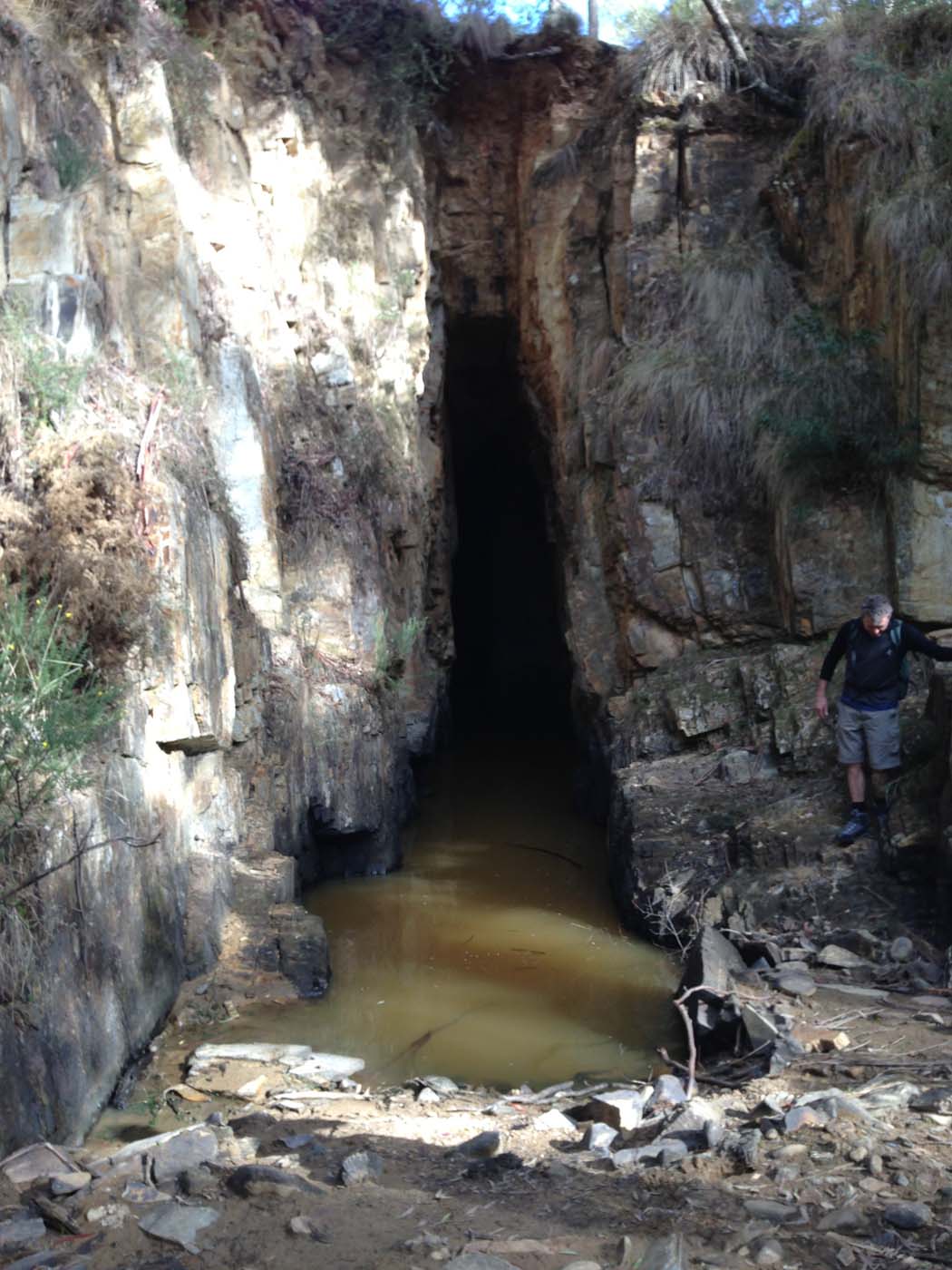 The tunnel & sardine creek hike (49)