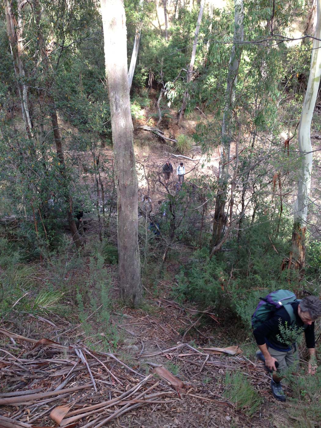 The tunnel & sardine creek hike (50)