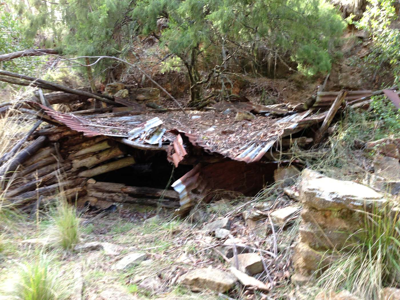 The tunnel & sardine creek hike (51)