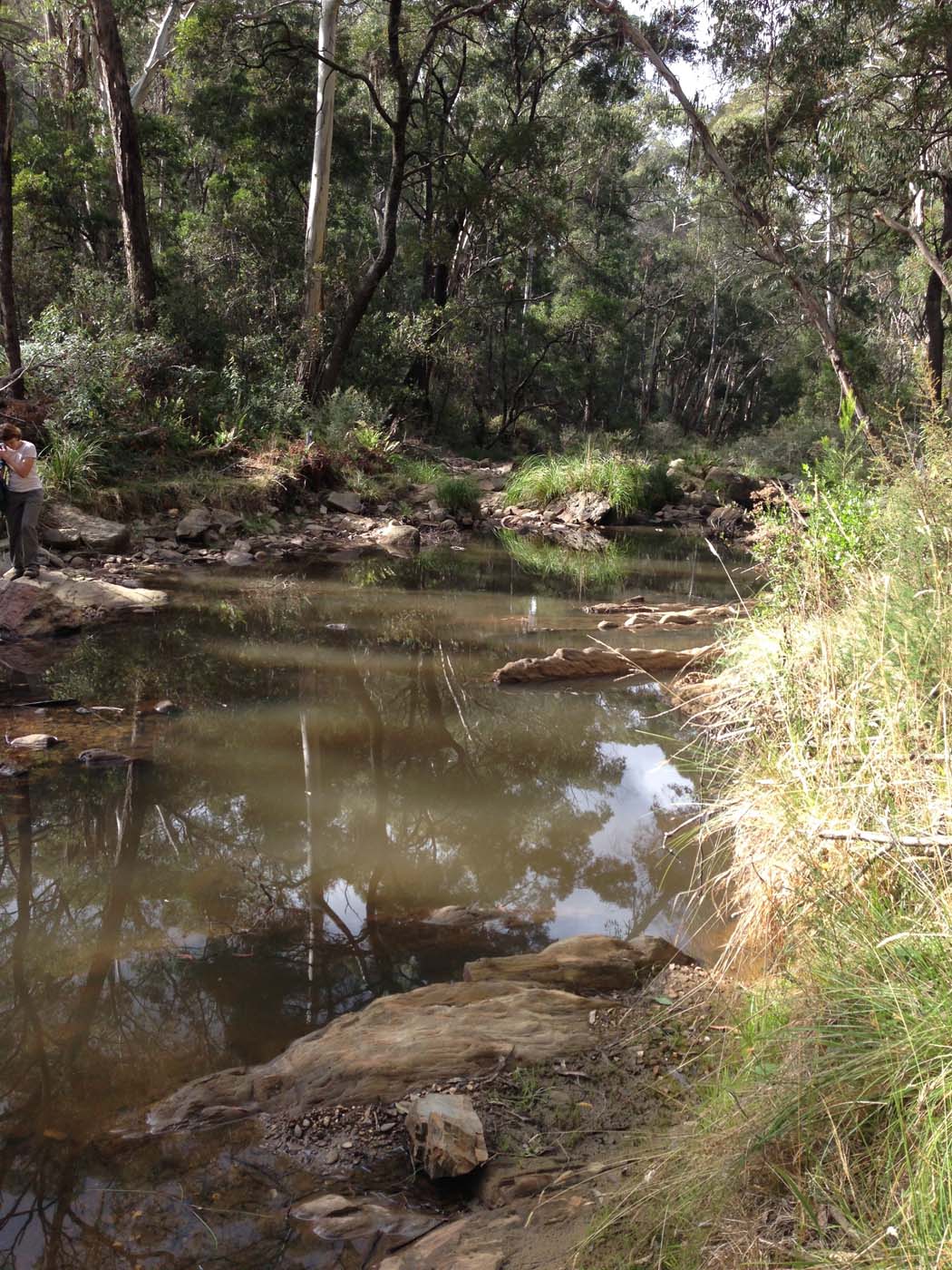 The tunnel & sardine creek hike (53)