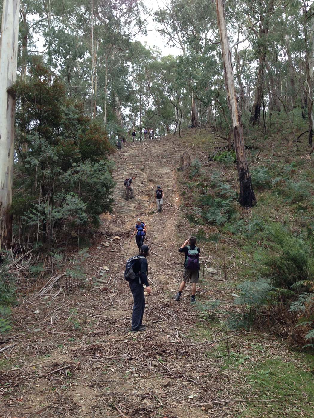 The tunnel & sardine creek hike (56)