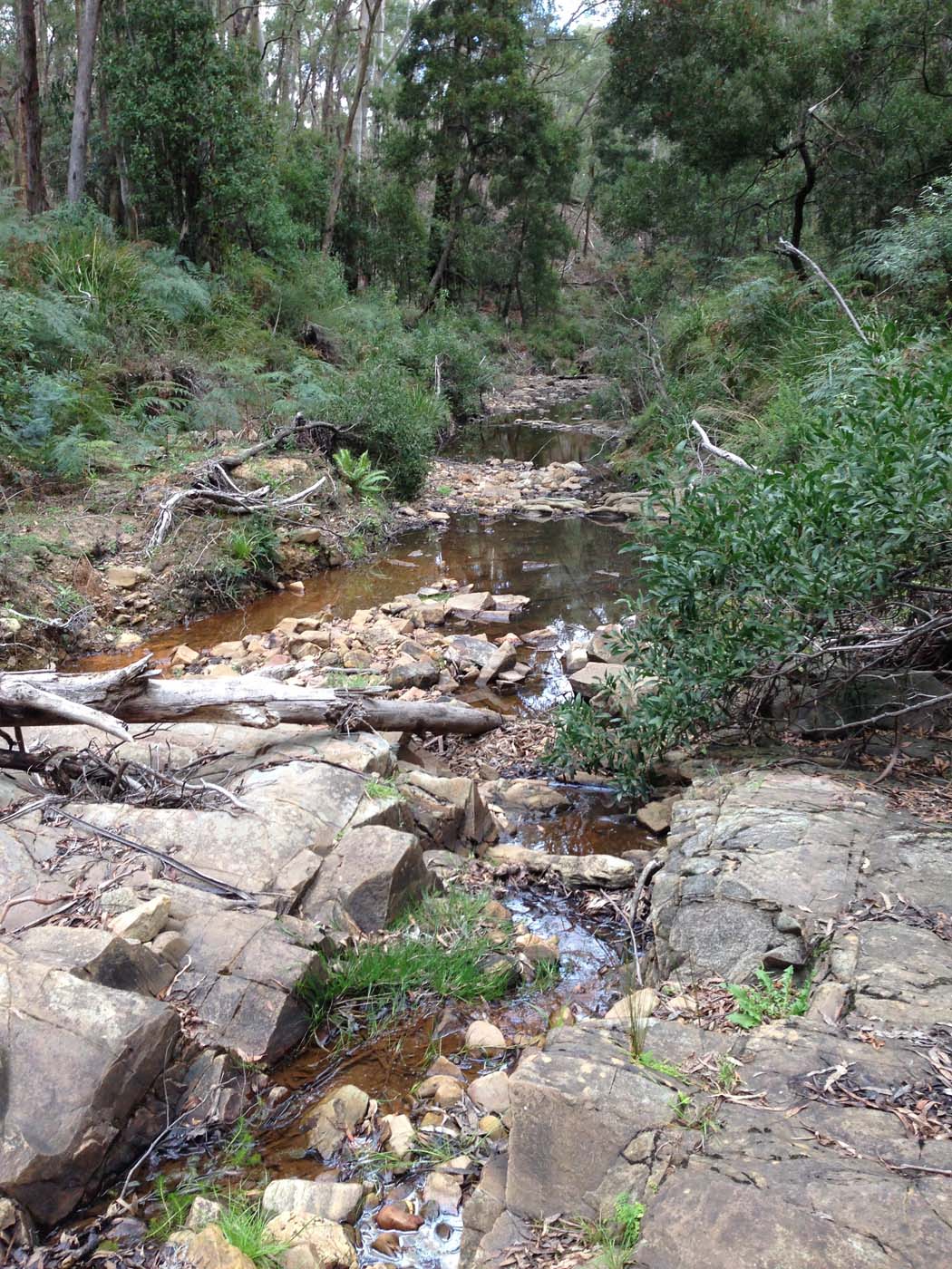 The tunnel & sardine creek hike (57)