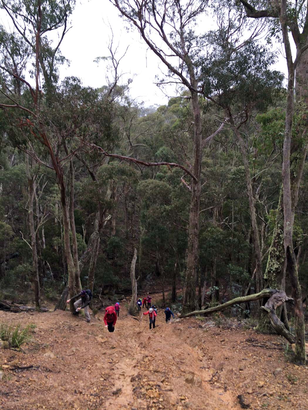 The tunnel & sardine creek hike (9)