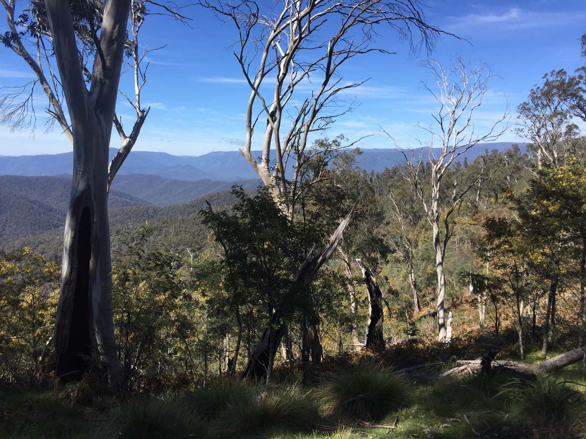 The viking & blue hills circuit hike 12