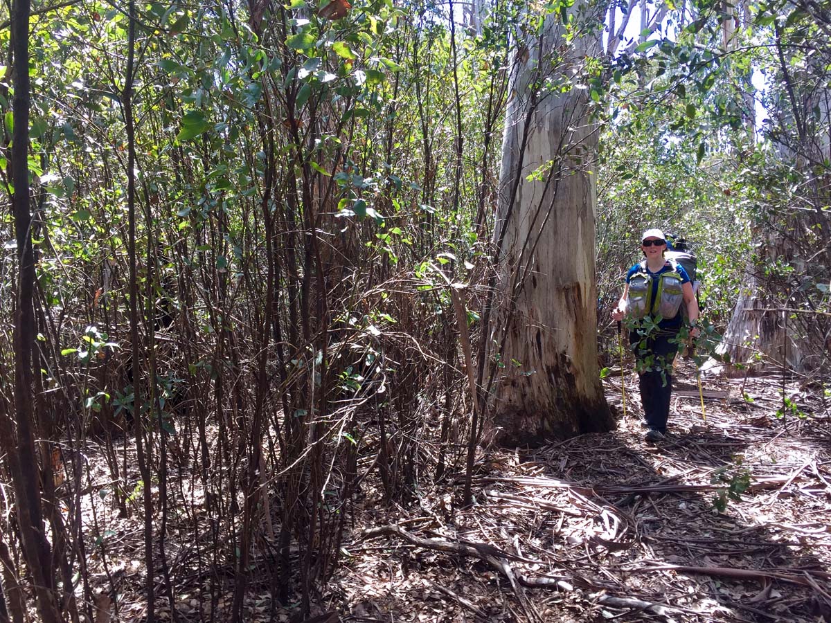 The viking & blue hills circuit hike 18