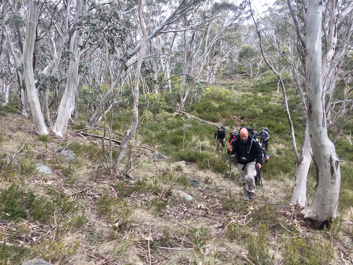 The viking & blue hills circuit hike 74