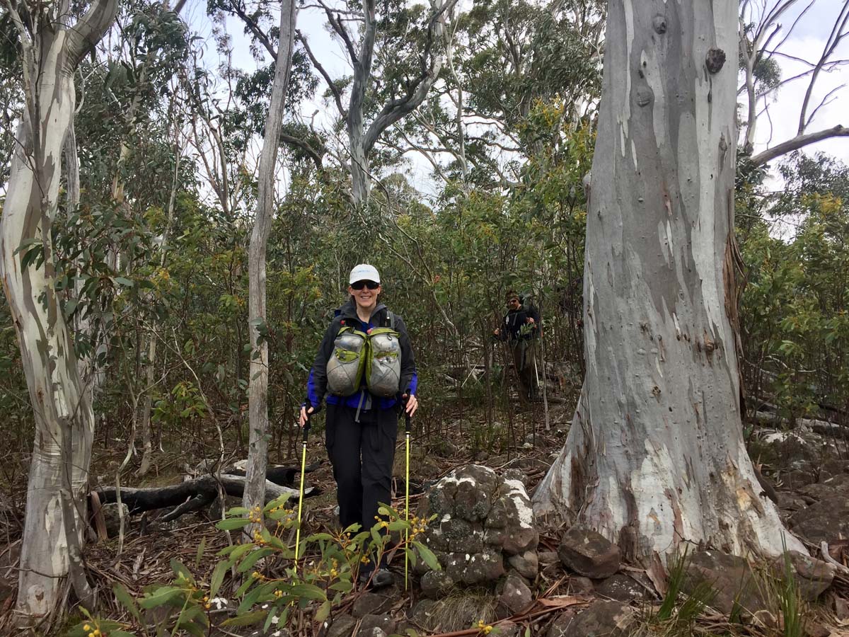 The viking & blue hills circuit hike 75