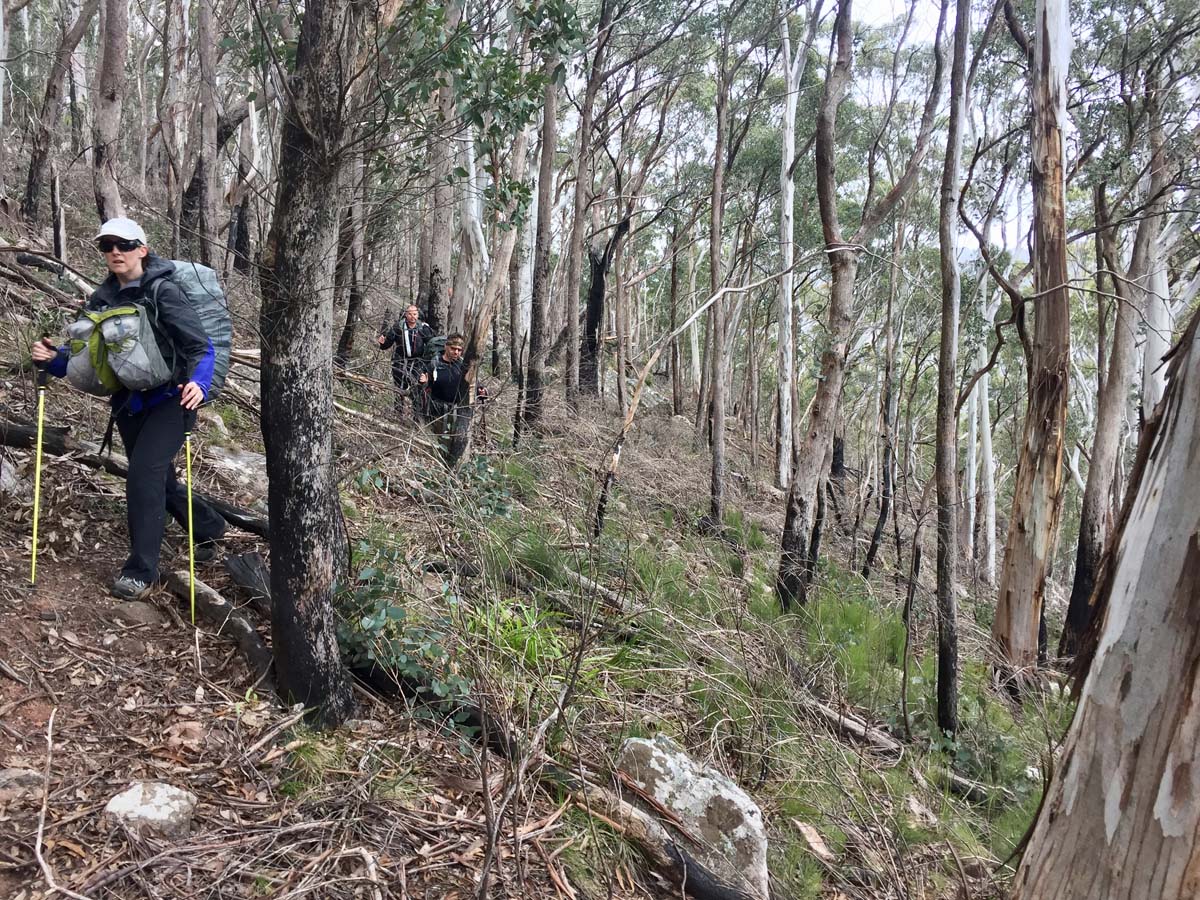 The viking & blue hills circuit hike 78