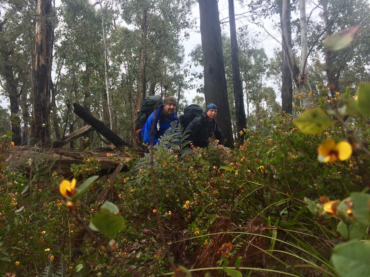 The viking & blue hills circuit hike 83