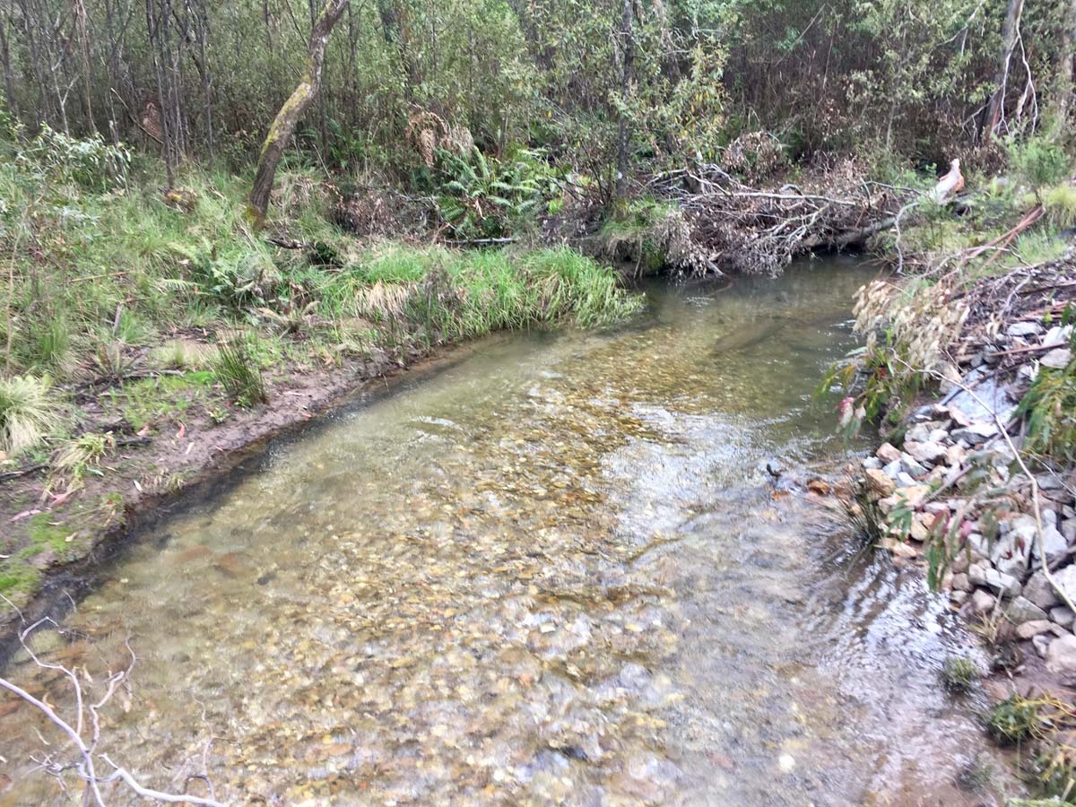 The viking & blue hills circuit hike 89