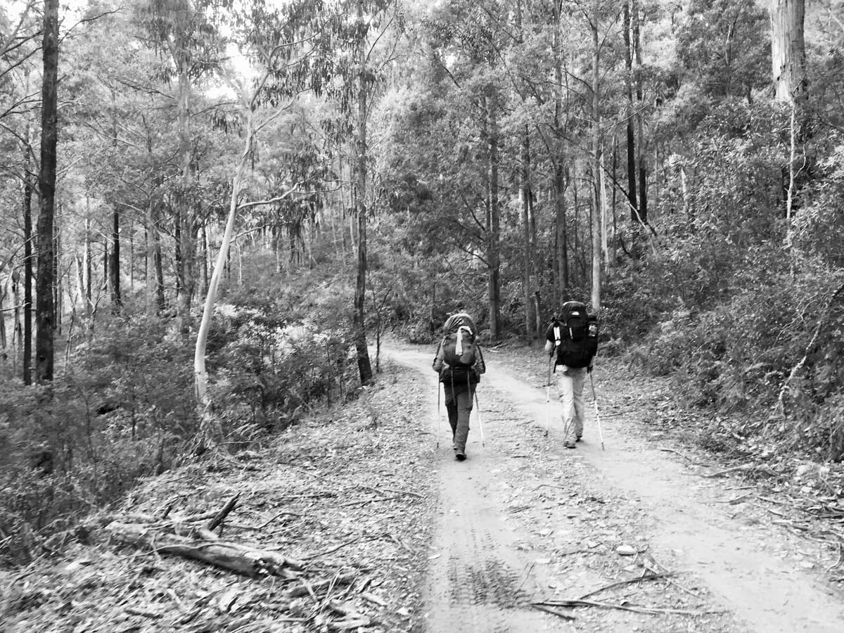 The viking & blue hills circuit hike 90