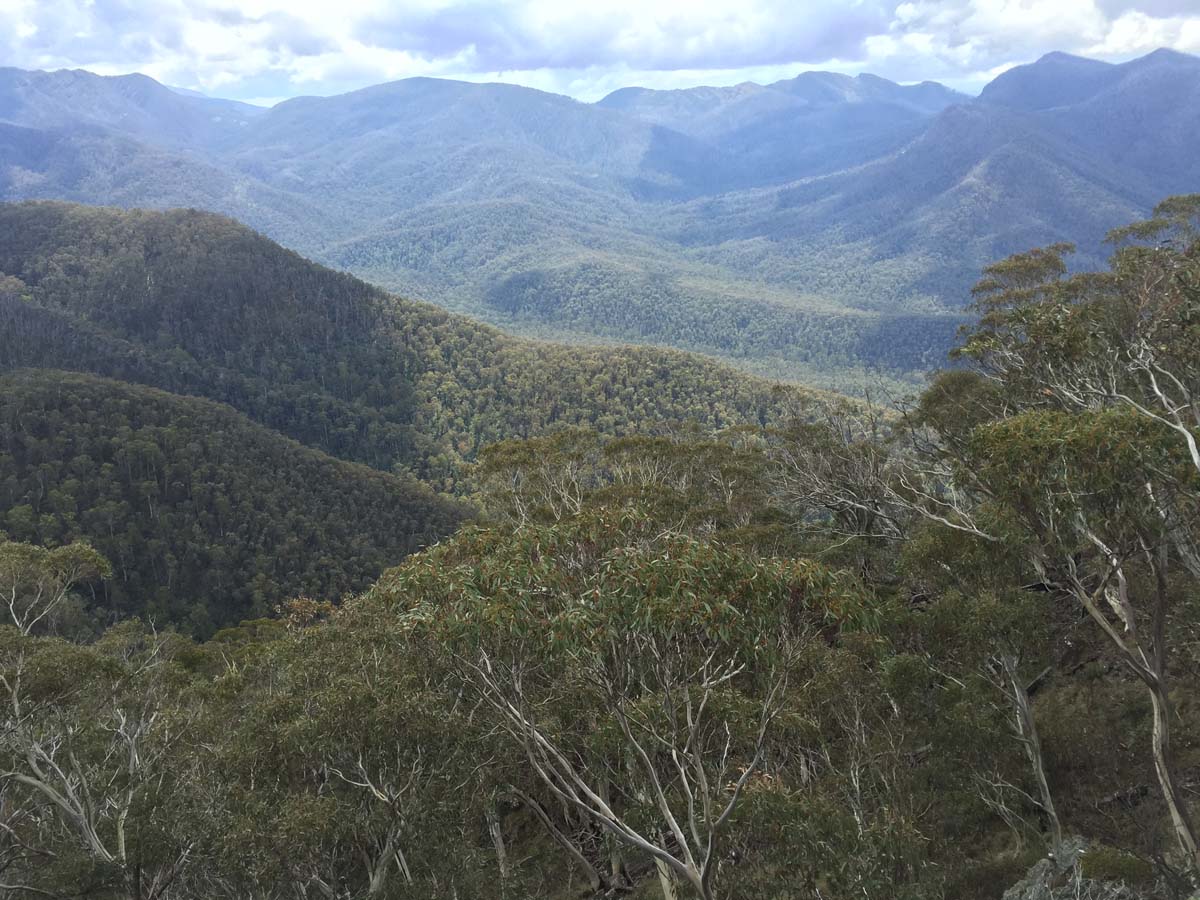 The viking circuit hike 100