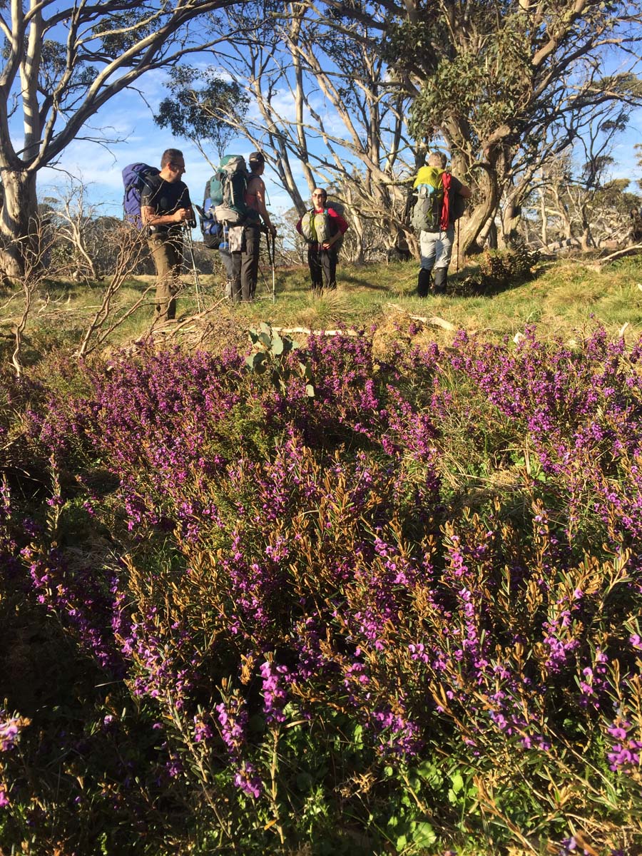 The viking circuit hike 3
