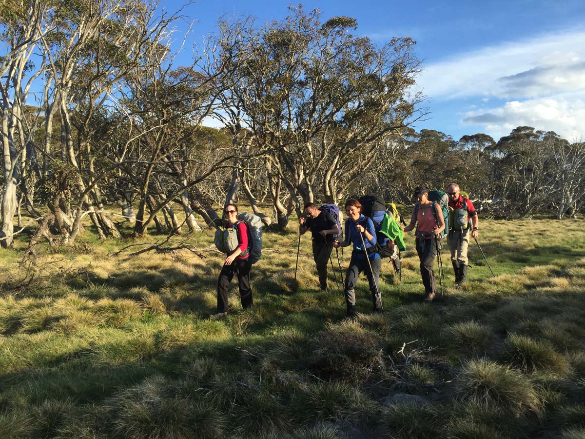 The viking circuit hike 4