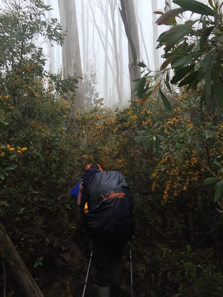 The viking circuit hike 57